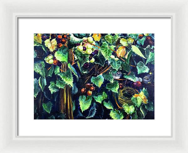 Yellow-rumped Warbler Within Muscadines - Framed Print