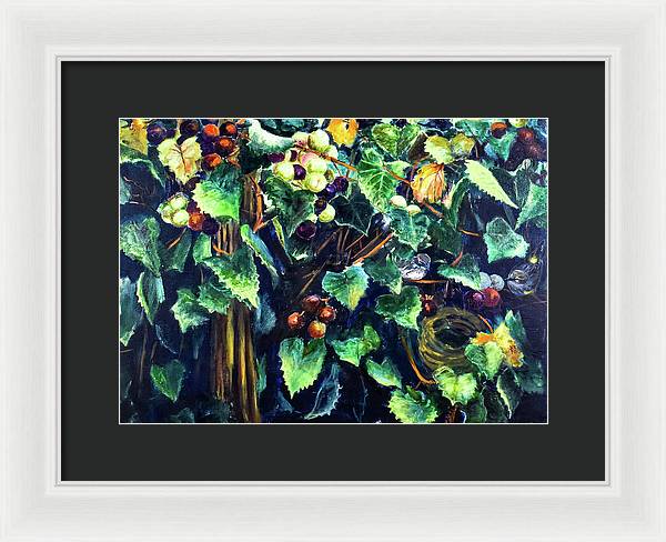 Yellow-rumped Warbler Within Muscadines - Framed Print