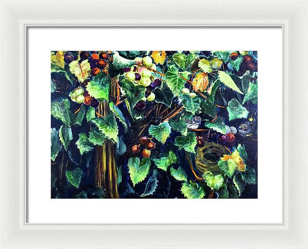 Yellow-rumped Warbler Within Muscadines - Framed Print