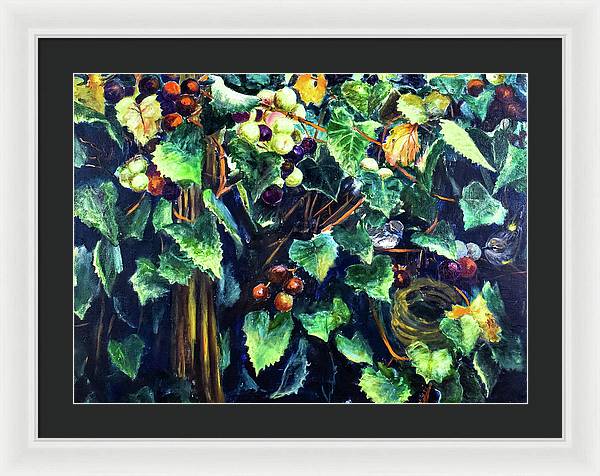 Yellow-rumped Warbler Within Muscadines - Framed Print