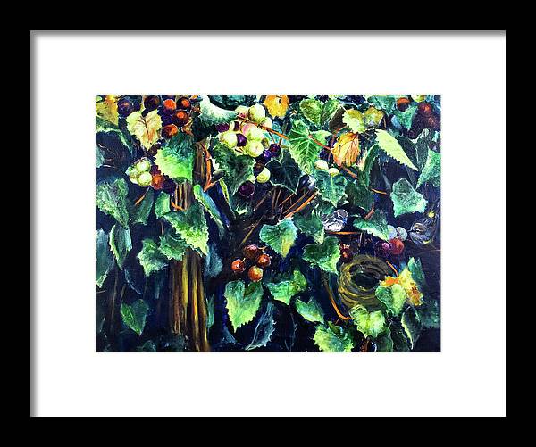 Yellow-rumped Warbler Within Muscadines - Framed Print