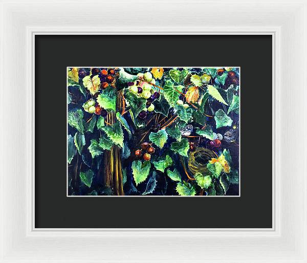 Yellow-rumped Warbler Within Muscadines - Framed Print