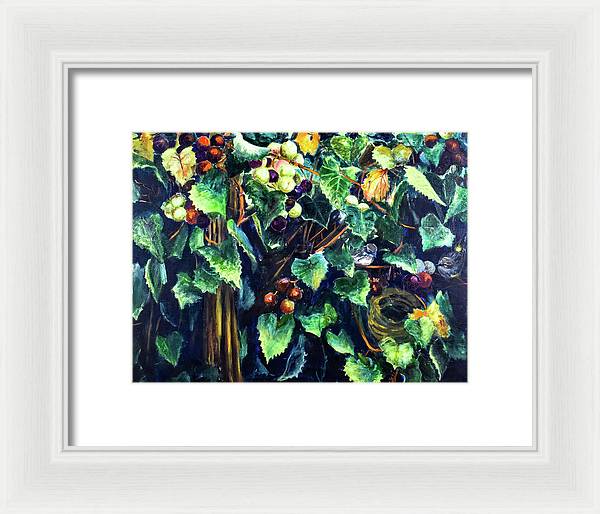 Yellow-rumped Warbler Within Muscadines - Framed Print